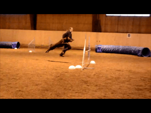 Snapshot 1 (2014-02-09 12-36)